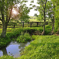 KENTUCKY MORNING